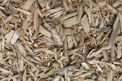 biomass boilers Trerhyngyll